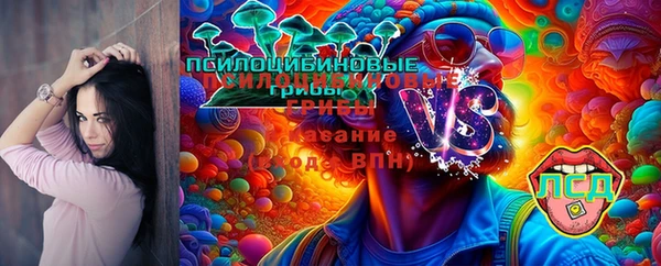 прущие грибы Беломорск