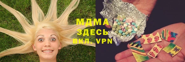 прущие грибы Беломорск