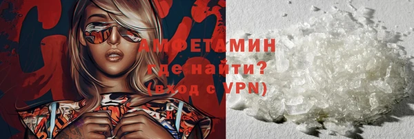 прущие грибы Беломорск